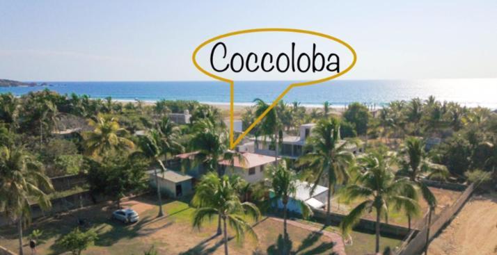 Coccoloba Guest House Puerto Escondido  Εξωτερικό φωτογραφία